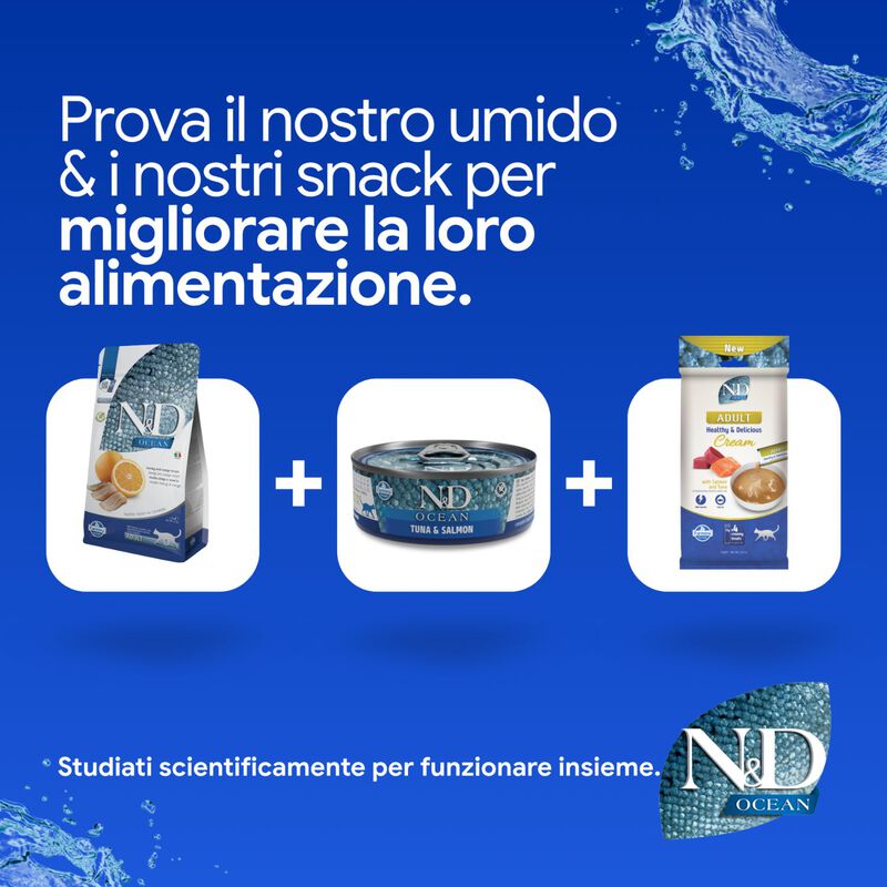 N&D Farmina Ocean Cat Adult Aringa & Arancia 300 gr