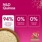 N&D Farmina Quinoa Urinary Cat con Anatra 1,5 kg