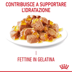 Royal Canin Cat Adult Hair&Skin Jelly 85 gr
