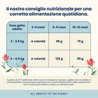 Almo Nature Kitten con Pollo 400 gr