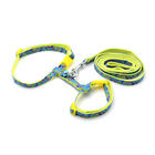 Petup Pettorina con Guinzaglio 10mm Mix Verde