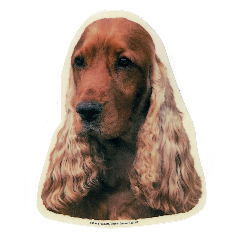 Camon Vetrofanie Cocker Spaniel