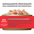 Schesir Cat Tonnetto con Gamberetti in gelatina 140 gr
