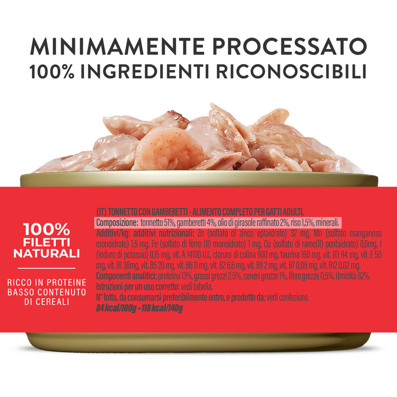 Schesir Cat Tonnetto con Gamberetti in gelatina 140 gr