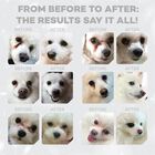 Nature's Protection Dog White Small Grain Free al Pesce 4 kg