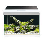 Amtra Modern Tank acquario 50 Led