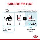 Royal Canin Cat Adult Sensory Feel Jelly 85 gr Royal Canin Cat Adult Sensory Feel Jelly 85 gr