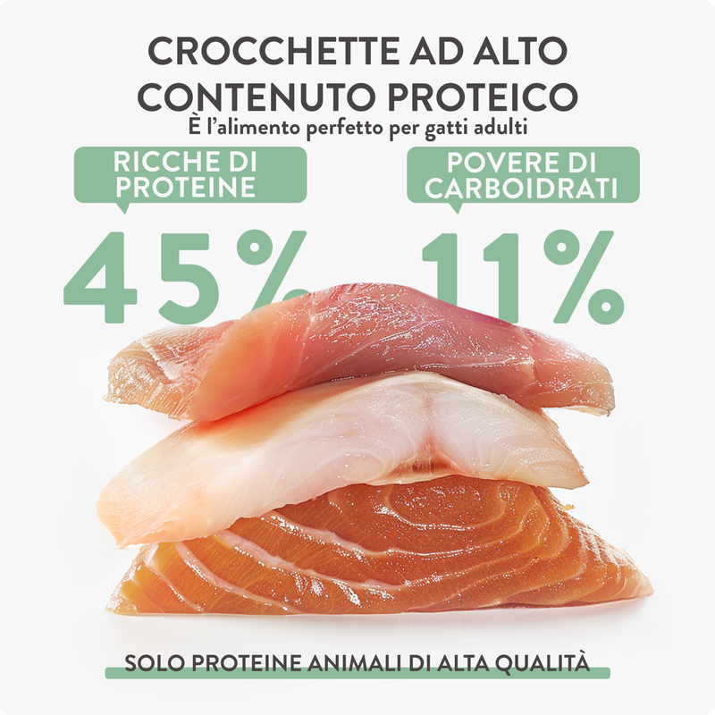 Schesir Born Carnivore Cat Adult Aringa con Salmone 255gr
