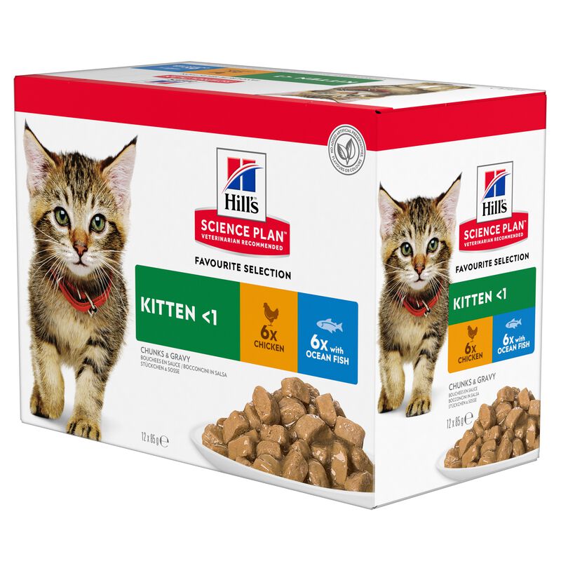 Hill's Science Plan Cat Kitten con Pesce Oceanico 12x85 gr