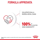 Royal Canin Dog Adult e Puppy Starter 195 gr