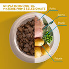 Monopro Dog Adult Medium&Large Grain Free Pollo 3 kg