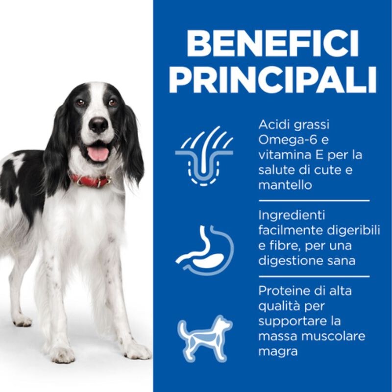 Hill's Science Plan Dog Adult Lattina con Tacchino 370 gr