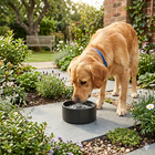 Trixie Ciotola in ceramica colore nero 16 cm 0,9 l