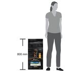 Purina Pro Plan Dog Puppy Large Robust Healthy Start Pollo 12 kg