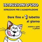 Catisfactions Snack per Gatto Creamy Erba Gatta 4pz x 10gr