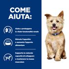 Hill's Prescription Diet Dog k/d Renal Spezzatino con Pollo e Verdure 354 gr