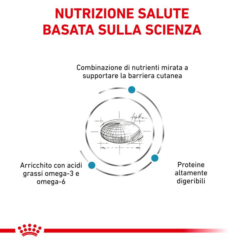 Royal Canin Veterinary Diet Dog Skin Care 11 kg