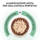 Schesir Cat Jelly Tonnetto con Ricciola 70g