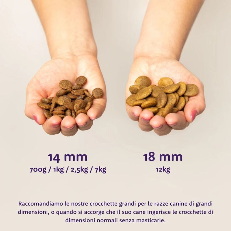 Edgard & Cooper Dog Adult Cervo e Anatra 7 kg