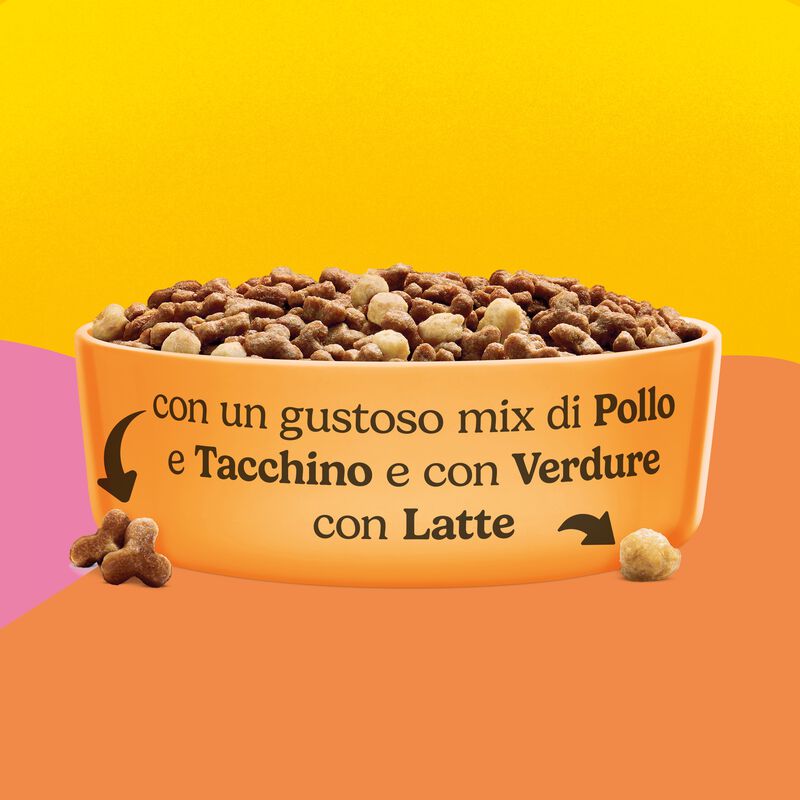 Friskies Cat Junior con Pollo, Tacchino con Latte e Verdure 375 gr