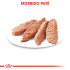 Royal Canin Dog Adult Light Weight Care 85 gr