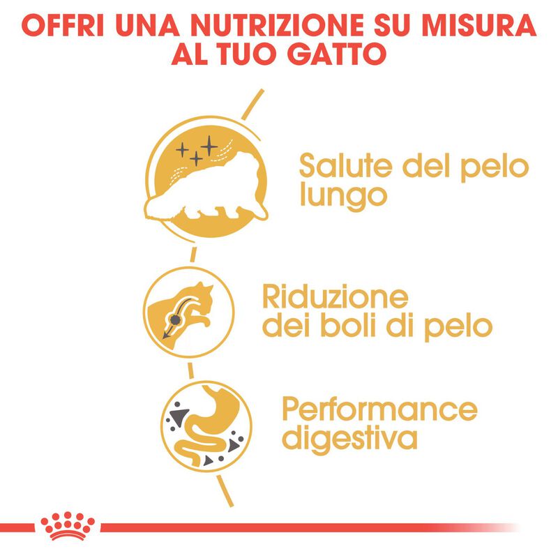 Royal Canin Cat Adult Persian 2 kg