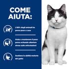 Hill's Prescription Diet Alimento umido per gatti adulti con Pollo 12 pz