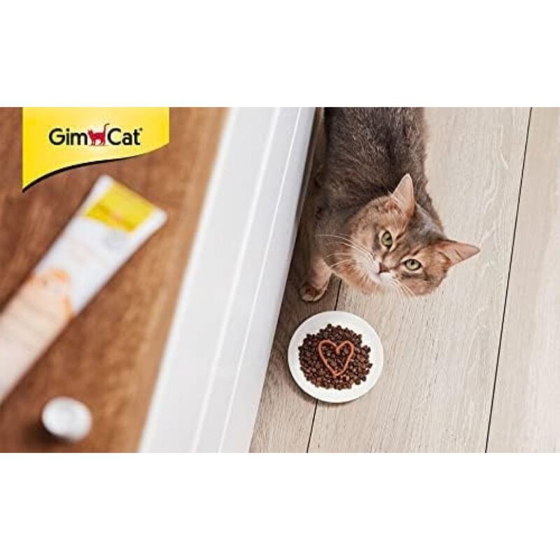 Gimcat Malt soft extra 20 gr