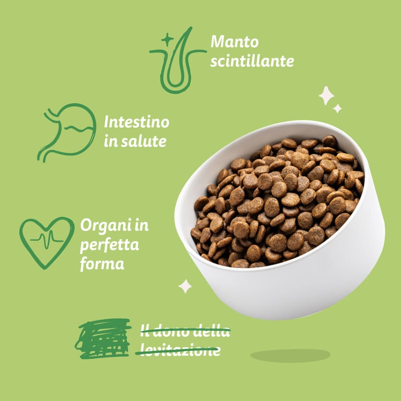 Edgard & Cooper Dog Adult Small all'Agnello 3kg