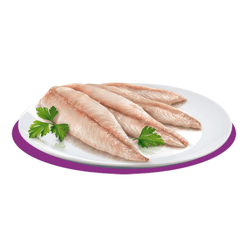 Petreet Cat 100% Monoproteico Sgombro 70 gr