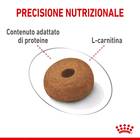Royal Canin Dog Maxi Adult Light Weight Care 3 kg