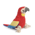 Camon gioco per cani pappagallo con squeaker 24 cm