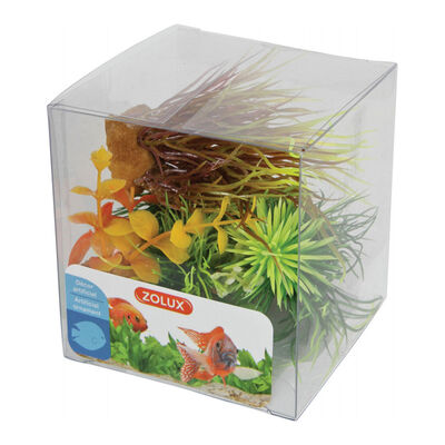 Zolux Mix Decorazioni 6 piante Box Mod 3