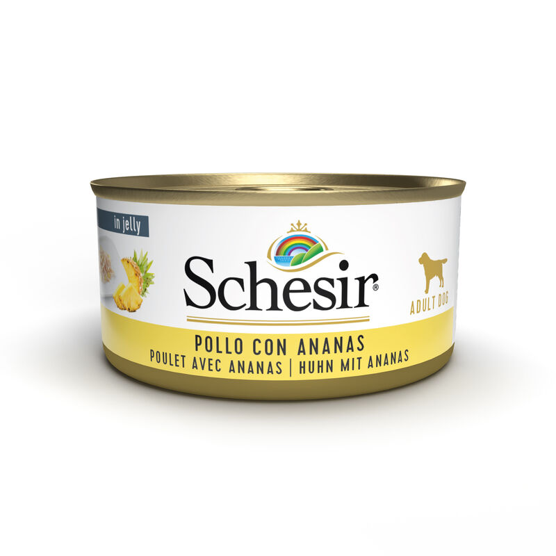 Schesir Dog Adult Pollo con Ananas 150 gr