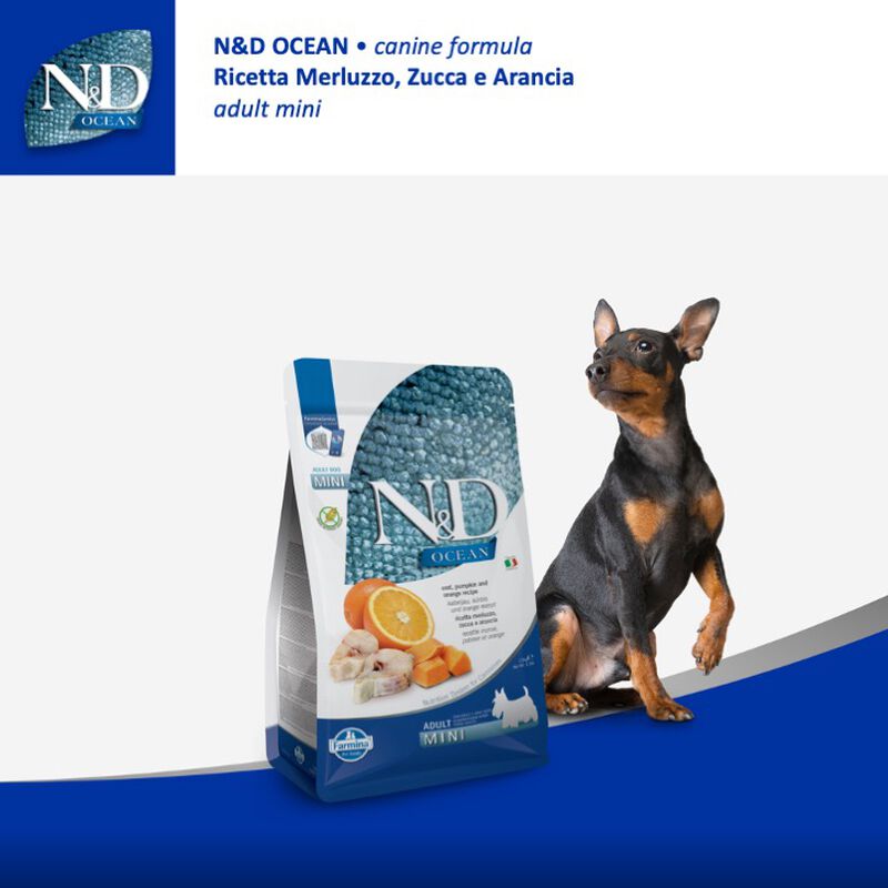 Farmina N&D Ocean Dog Adult Mini Merluzzo, Zucca e Arancia 800 gr