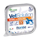 Monge VetSolution Dog Renal and Oxalate 150 gr