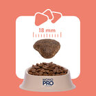 Monopro Dog Adult Medium&Large Grain Free Salmone 3 Kg