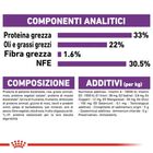 Royal Canin Cat Adult Sensible 33 10 +2 kg