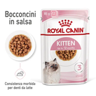 Royal Canin Cat Kitten Salsa 85 gr