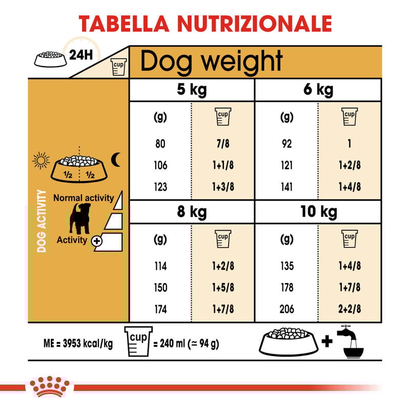 Royal Canin Dog Adult e Senior Jack Russell 1,5 kg