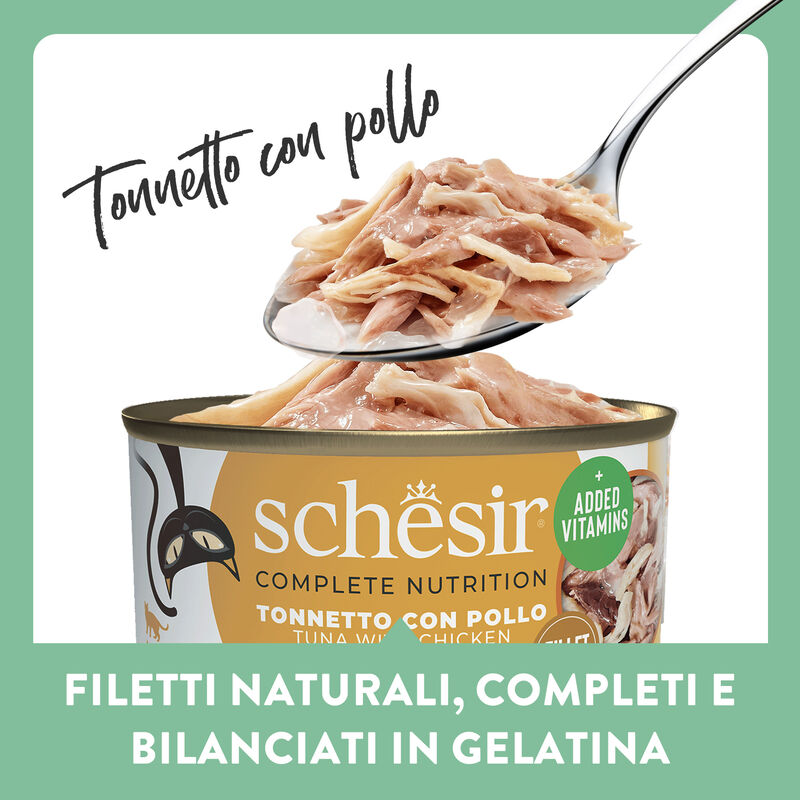 Schesir Cat Adult Tonnetto con pollo jelly 85g