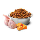 Farmina N&D Pumpkin Cat Neutered Quaglia e Melograno 1,5 kg