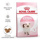 Royal Canin Cat Kitten 2 kg