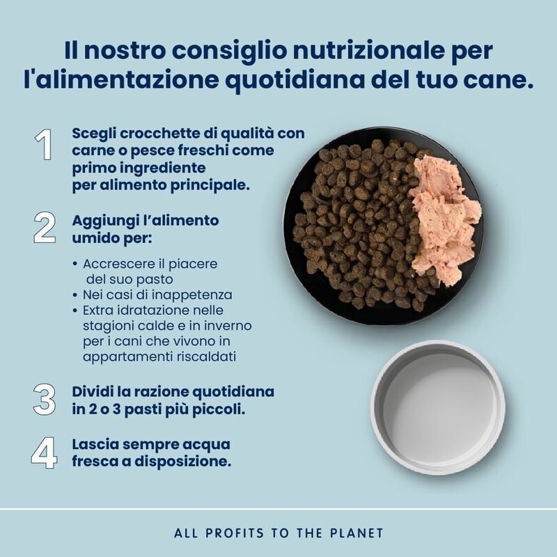 Almo Nature Life Maintenance Crocchette per cani adulti tg S con Salmone 2 kg