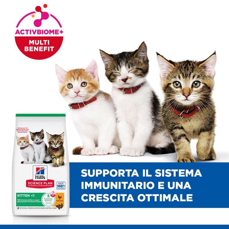 Hill's Science Plan Cat Kitten al Pollo 1,5 kg