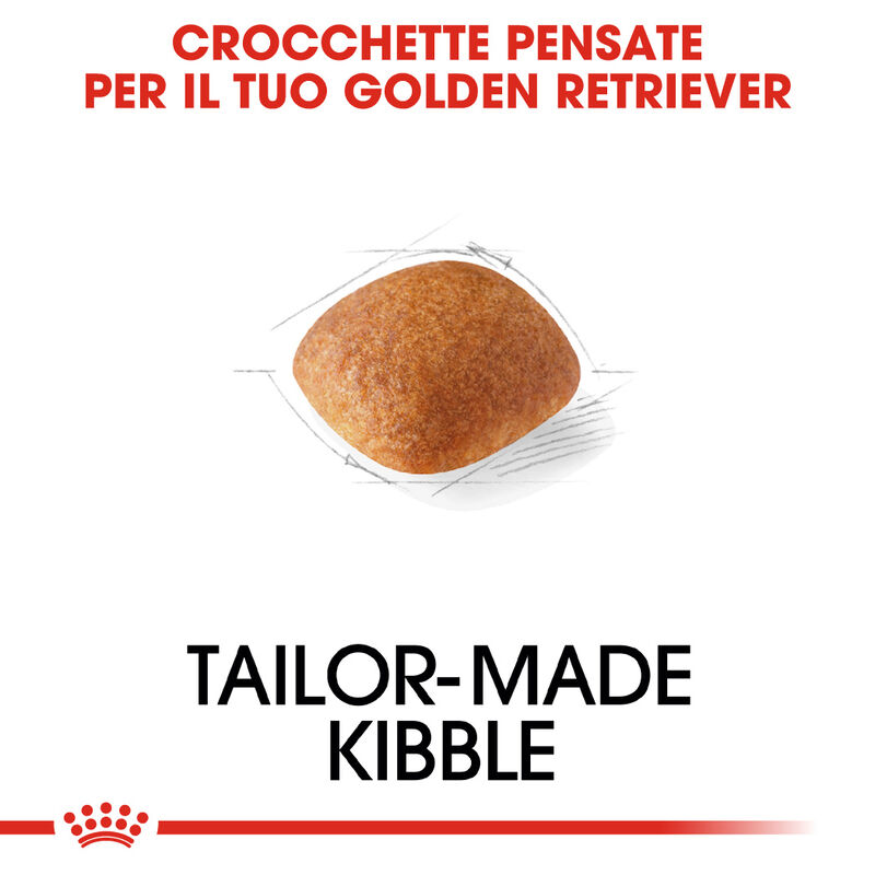 Royal Canin Dog Adult Golden Retriver 3 kg - Scad. Dicembre 25