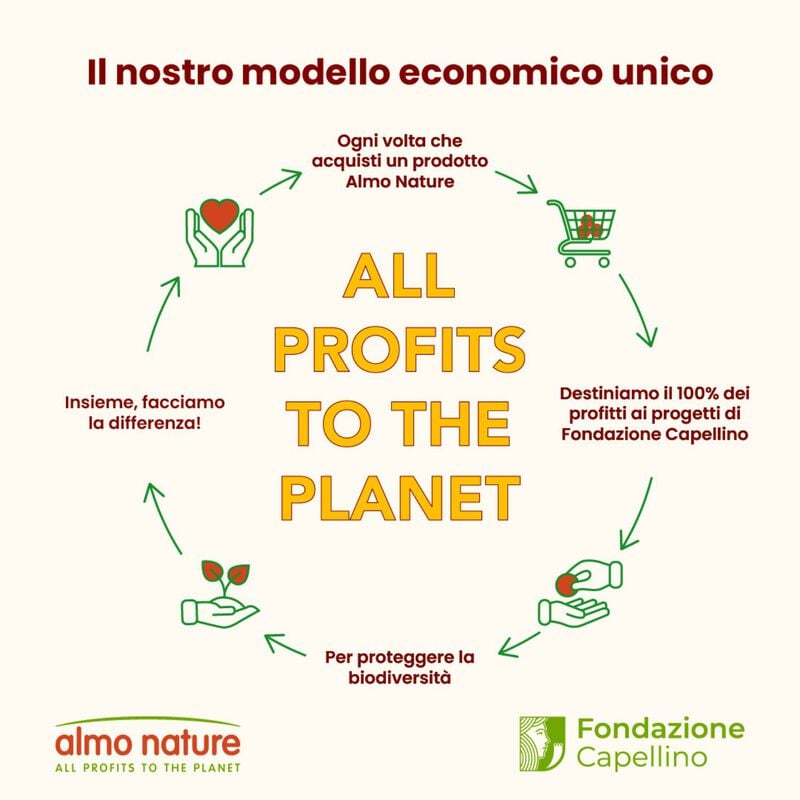 Almo Nature Daily Cat Adult Anatra 100g Almo Nature Daily Cat Adult Anatra 100g