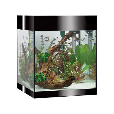 Askoll Pure M Led Nero Acquario Verticale con Filtro a Quattro Stadi e Illuminazione a LED