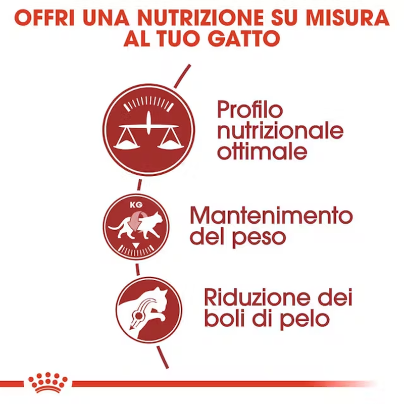 Royal Canin Cat Adult Fit 4 kg