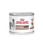 Royal Canin Veterinary Diet Dog e Cat Recovery 195 gr image number 0